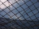 Safety Netting